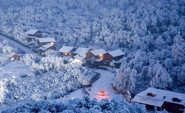 重庆下雪了！这些地方已美如幻境！周末去玩雪吧