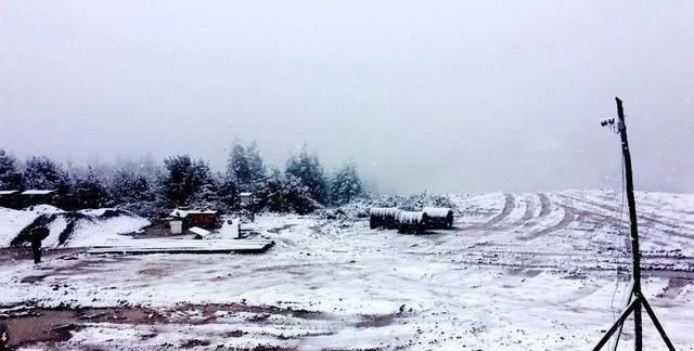 重庆下雪了！这些地方已美如幻境！周末去玩雪吧