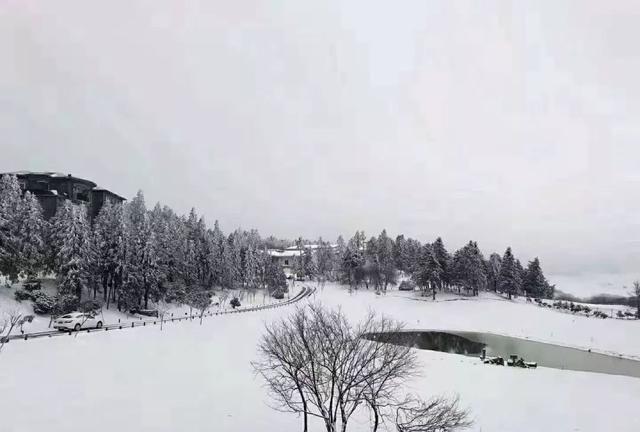 重庆下雪了！这些地方已美如幻境！周末去玩雪吧