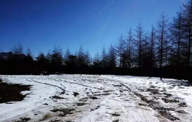 重庆下雪了！这些地方已美如幻境！周末去玩雪吧