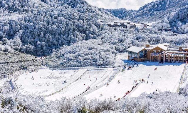 重庆下雪了！这些地方已美如幻境！周末去玩雪吧
