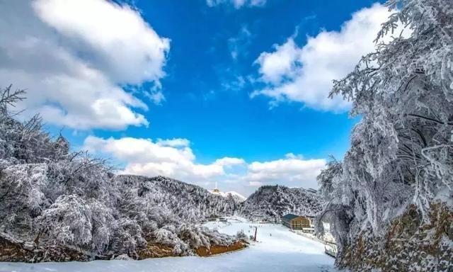 重庆下雪了！这些地方已美如幻境！周末去玩雪吧