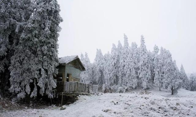 重庆下雪了！这些地方已美如幻境！周末去玩雪吧