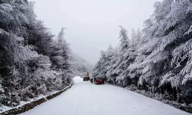 重庆下雪了！这些地方已美如幻境！周末去玩雪吧