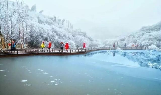 重庆下雪了！这些地方已美如幻境！周末去玩雪吧