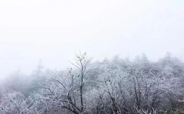 重庆下雪了！这些地方已美如幻境！周末去玩雪吧