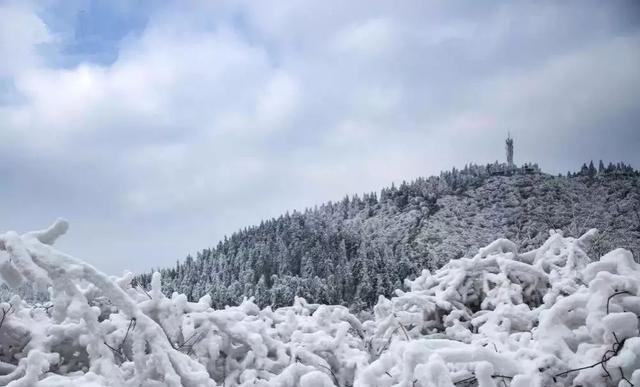 重庆下雪了！这些地方已美如幻境！周末去玩雪吧