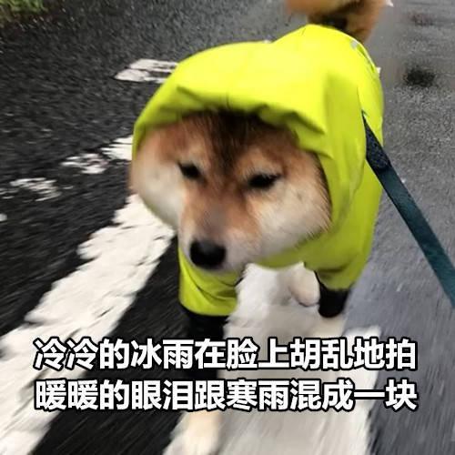 囧哥:还得靠我自己！机长迟到乘客开走飞机