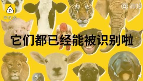 囧哥:还得靠我自己！机长迟到乘客开走飞机