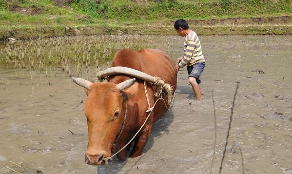 真实的事情:妈妈为我生了个女儿!这个孩子我能要吗?该怎么称呼