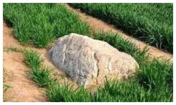 中国最矮的山，就在山东只有0.6米，地底下却有“大秘密”！