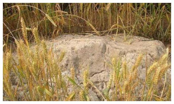 中国最矮的山，就在山东只有0.6米，地底下却有“大秘密”！