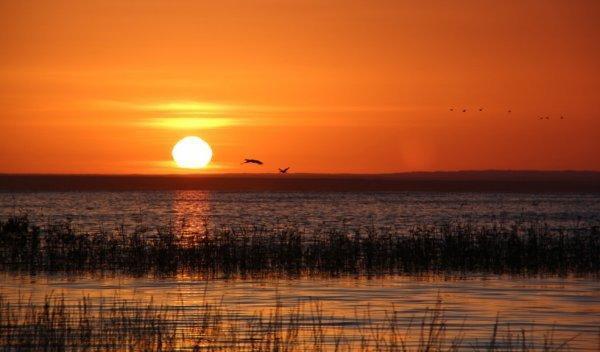 中国最神奇的湖泊，干涸51年成为沙漠