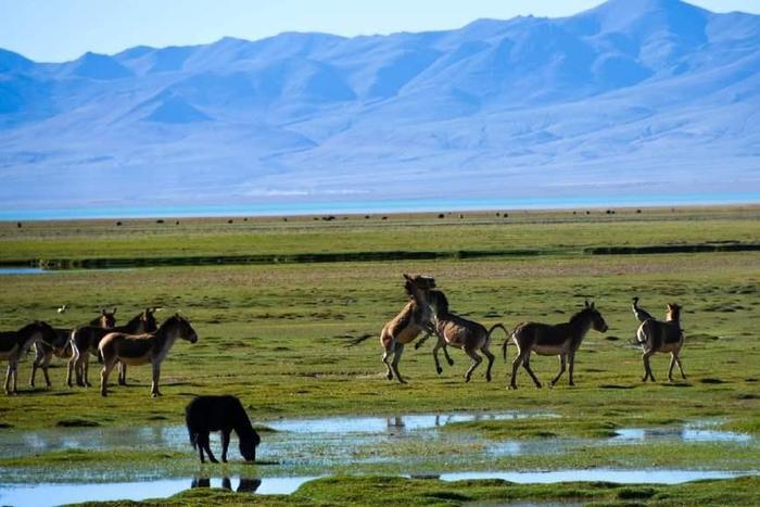 中国最大的无人区，面积超越广西，相当于3个重庆！