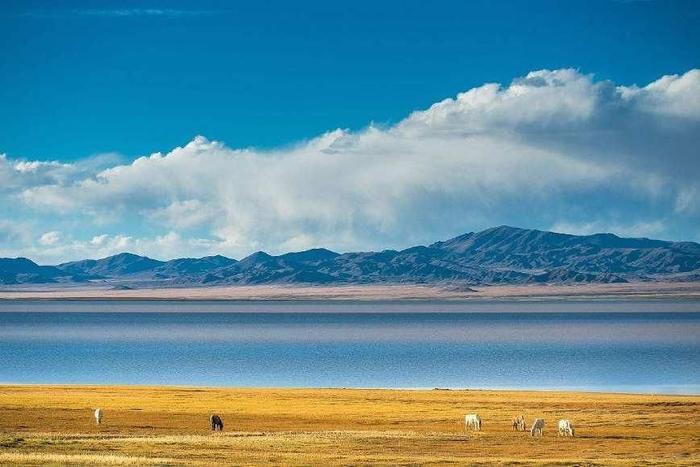 中国最大的无人区，面积超越广西，相当于3个重庆！