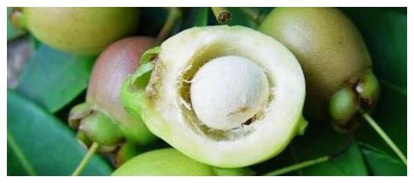 中国最珍贵的五种水果，吃过二种算是土豪，最后一种很多人没见过