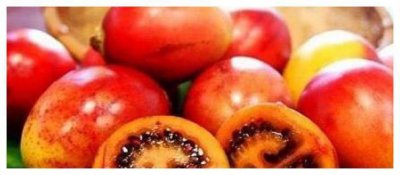 ​中国最珍贵的五种水果，吃过二种算是土豪，最后一种很多人没见过