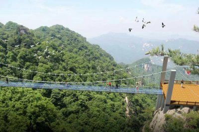 ​免门票挑战中原最美玻璃栈道！安全又刺激！你的恐高症有救了！