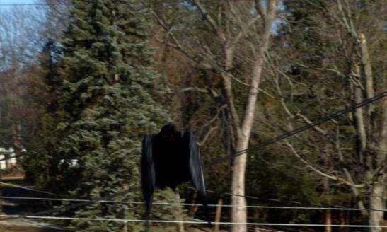 最恐怖的未知生物之一，曾被无数人目击，科学却无法解释！