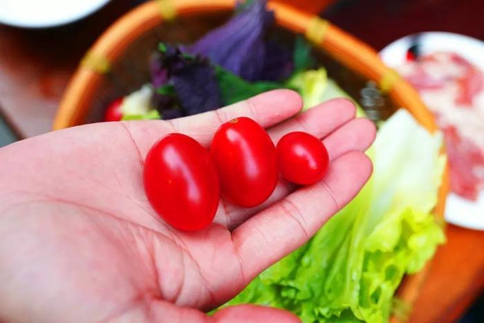 在海口吃年夜去哪吃好呢?瓦片烤肉告诉你,用烟火升腾年夜饭的温度!