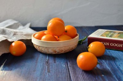 ​金桔种子怎么种