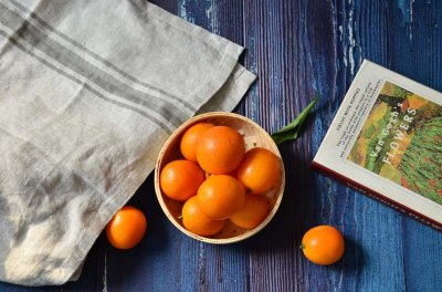 ​盆栽金桔好养吗