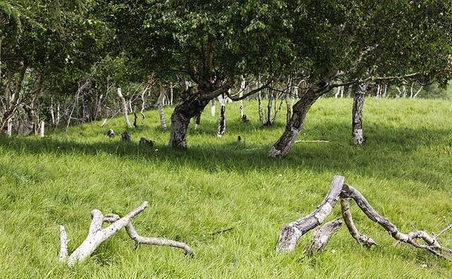 这里是河北省海拔最高的山村，盛夏，人们都来这里避暑