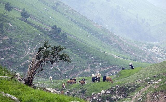 这里是河北省海拔最高的山村，盛夏，人们都来这里避暑