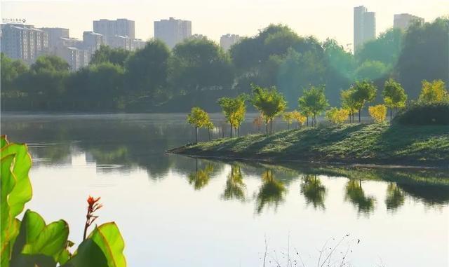 这个九月, 昌平两处花海进入最美时期, 千万不要错过!