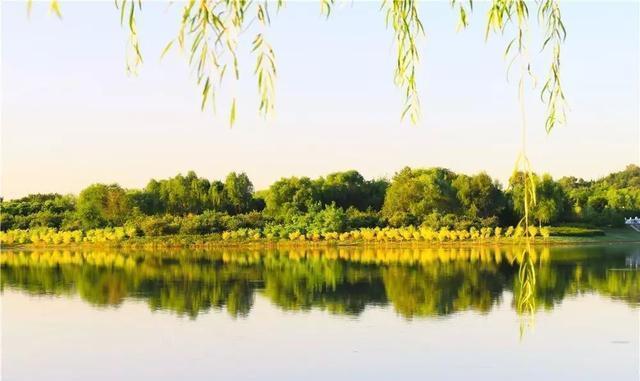 这个九月, 昌平两处花海进入最美时期, 千万不要错过!