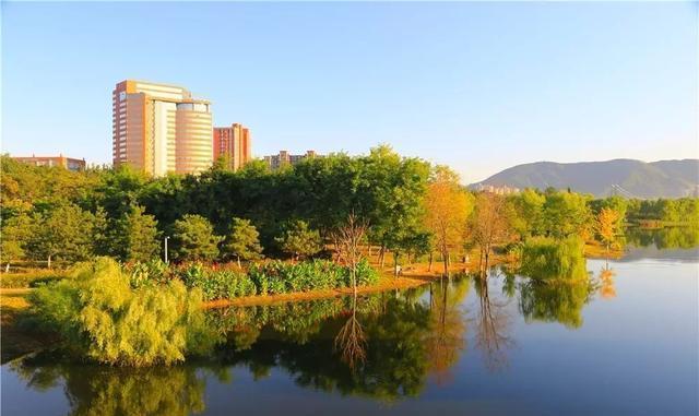 这个九月, 昌平两处花海进入最美时期, 千万不要错过!