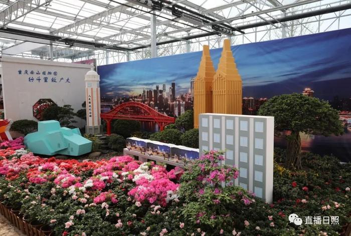 等你打卡!世界各地的杜鹃都来日照了!分分钟刷爆朋友圈!