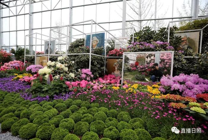 等你打卡!世界各地的杜鹃都来日照了!分分钟刷爆朋友圈!