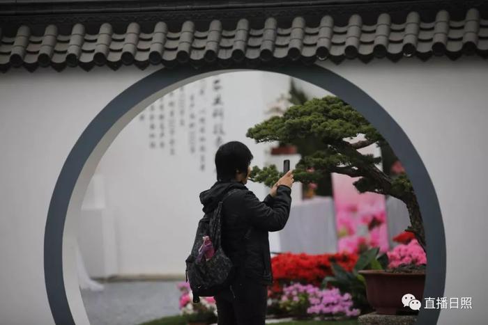 等你打卡!世界各地的杜鹃都来日照了!分分钟刷爆朋友圈!