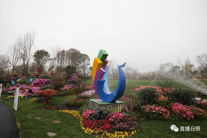 等你打卡!世界各地的杜鹃都来日照了!分分钟刷爆朋友圈!