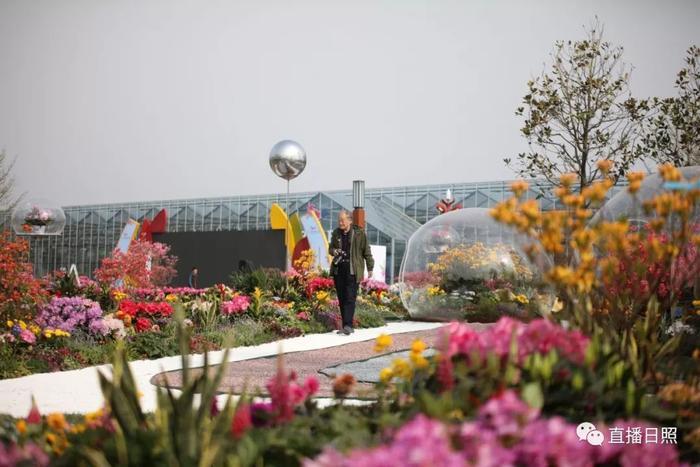 等你打卡!世界各地的杜鹃都来日照了!分分钟刷爆朋友圈!