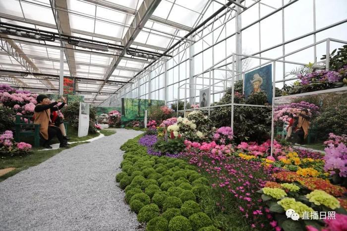 等你打卡!世界各地的杜鹃都来日照了!分分钟刷爆朋友圈!