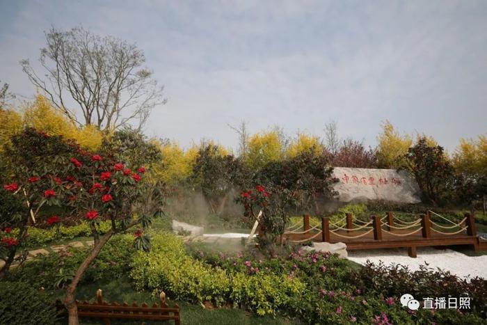 等你打卡!世界各地的杜鹃都来日照了!分分钟刷爆朋友圈!