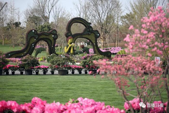 等你打卡!世界各地的杜鹃都来日照了!分分钟刷爆朋友圈!