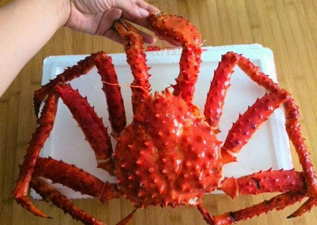 帝王蟹什么部位能吃,什么部位不能吃?很多人都弄错了