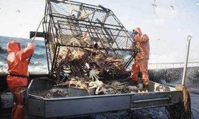 ​阿拉斯加捕蟹人，全球最危险的工作之一，但也是工资最高的工作