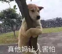 被刘梓晨女装cos照圈粉？醒醒！