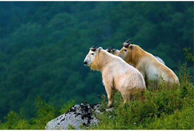 ​陕西最“穷”的五个小县，其中两个属于汉中，有你家乡吗？