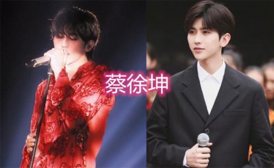 ​选秀C位年龄，年龄最小的是周震南，最大的是已经出道几年的她