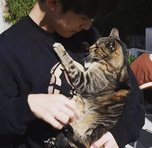易烊千玺社交账号小号曝光，私下是一个爱自拍爱撸猫的普通少年