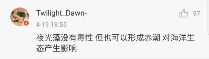 第一次见到「天使」,居然不在天上而是在海里 ......