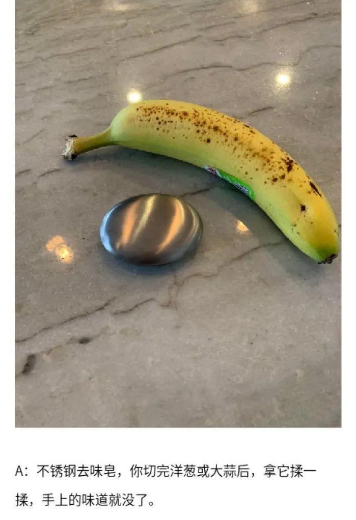 第一次见到「天使」,居然不在天上而是在海里 ......