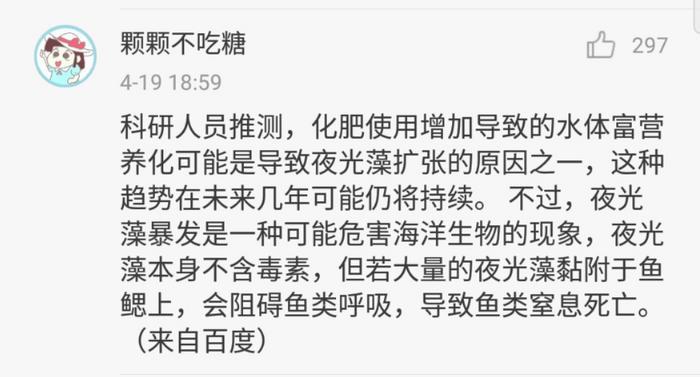 第一次见到「天使」,居然不在天上而是在海里 ......
