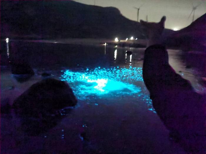 第一次见到「天使」,居然不在天上而是在海里 ......