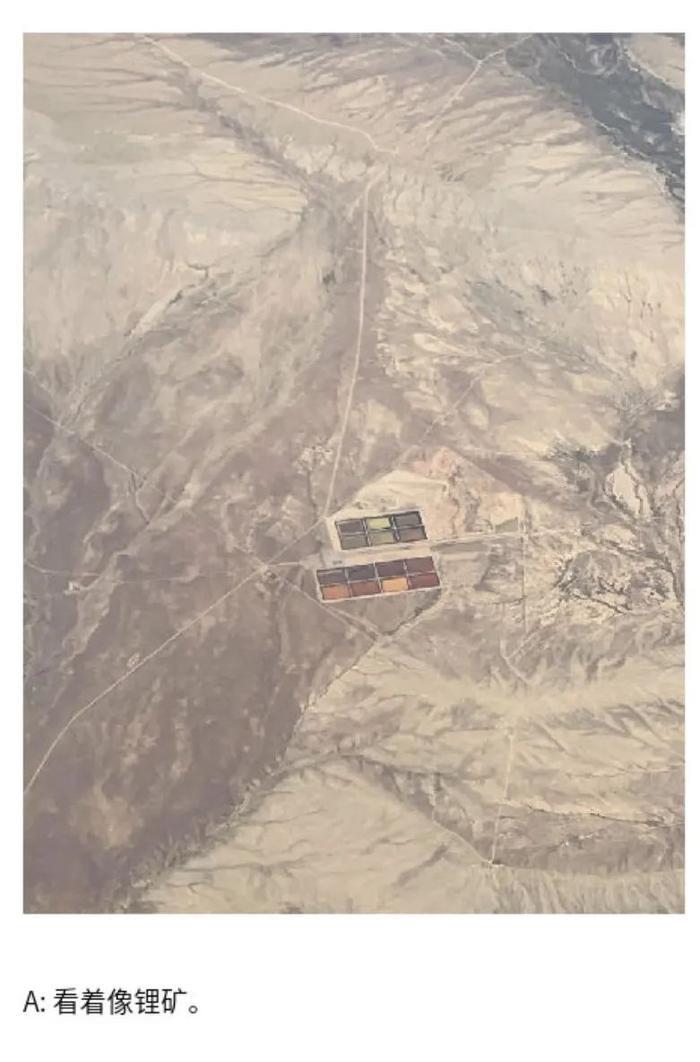 第一次见到「天使」,居然不在天上而是在海里 ......